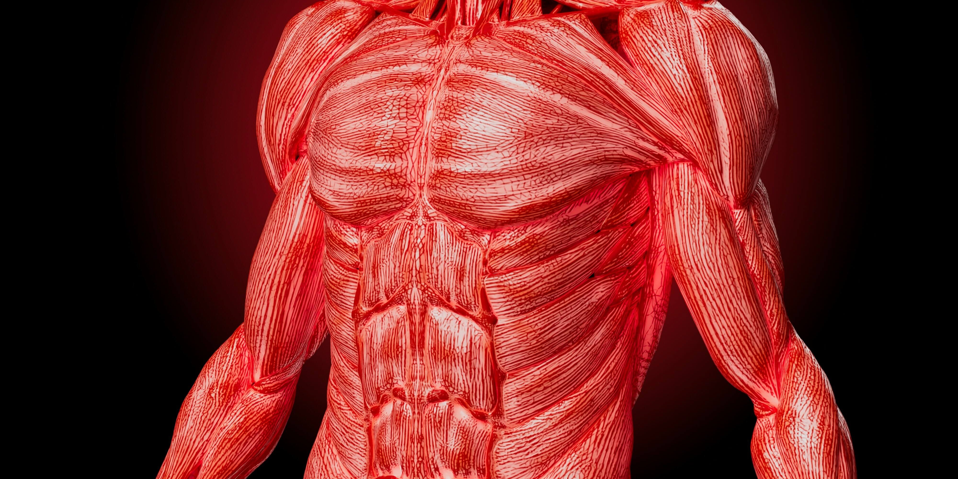 The Risks of Losing 40% to 60% of Weight as Lean Muscle Mass