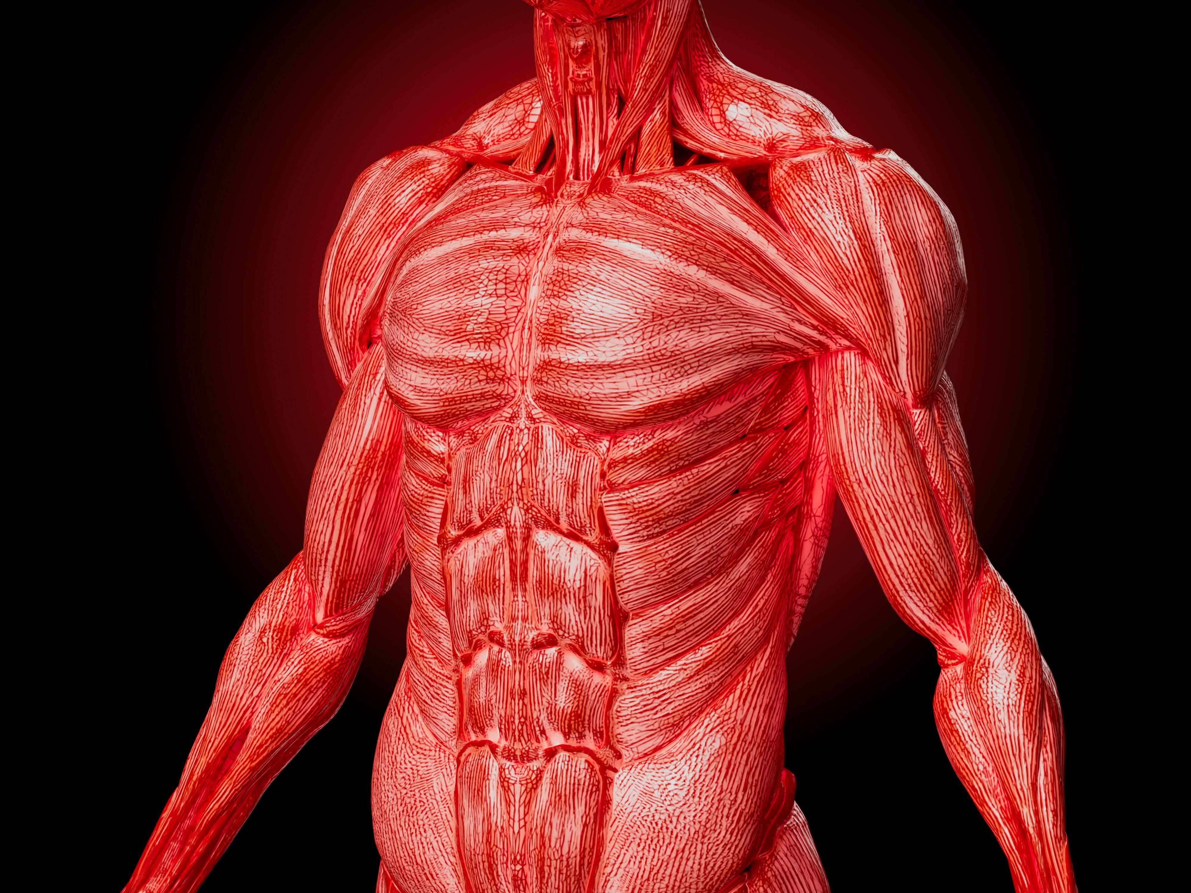 The Risks of Losing 40% to 60% of Weight as Lean Muscle Mass