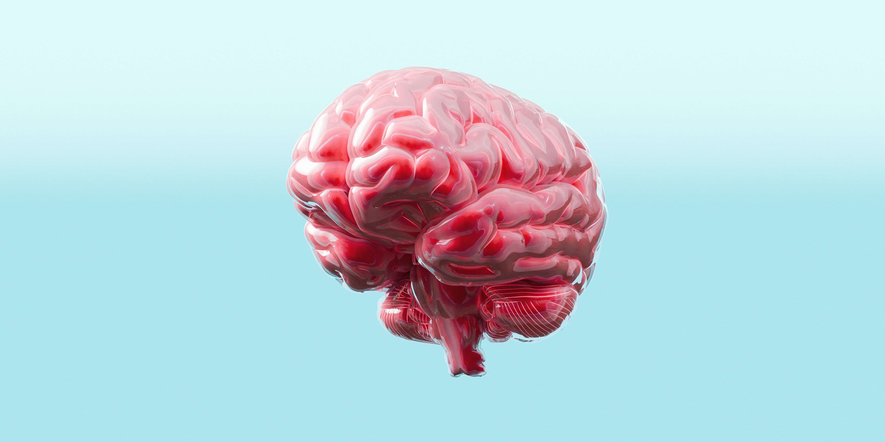 Understanding the “Hungry Brain”: How Our Brain Controls Hunger, Appetite, and Food Intake