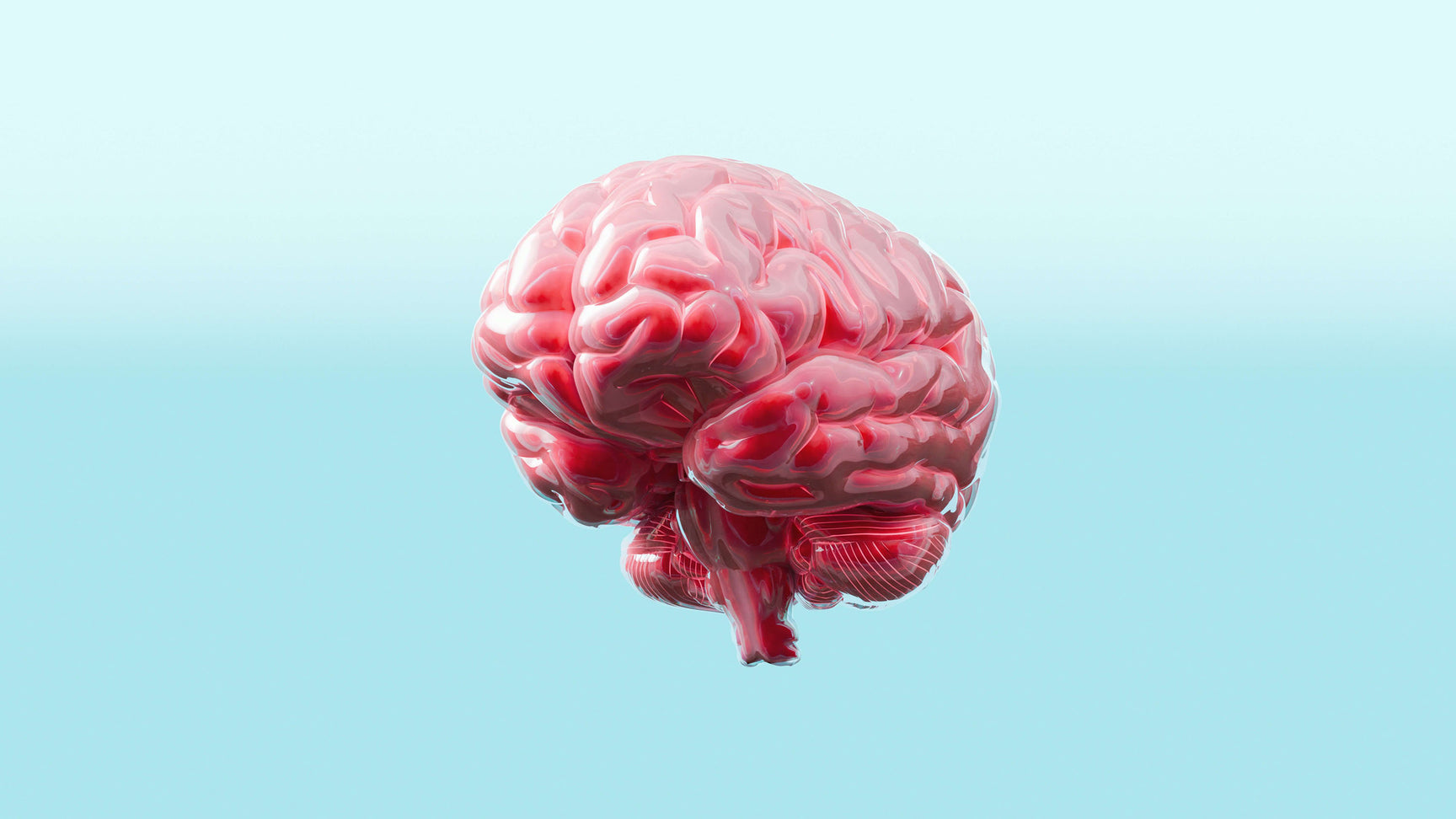 Understanding the “Hungry Brain”: How Our Brain Controls Hunger, Appet ...
