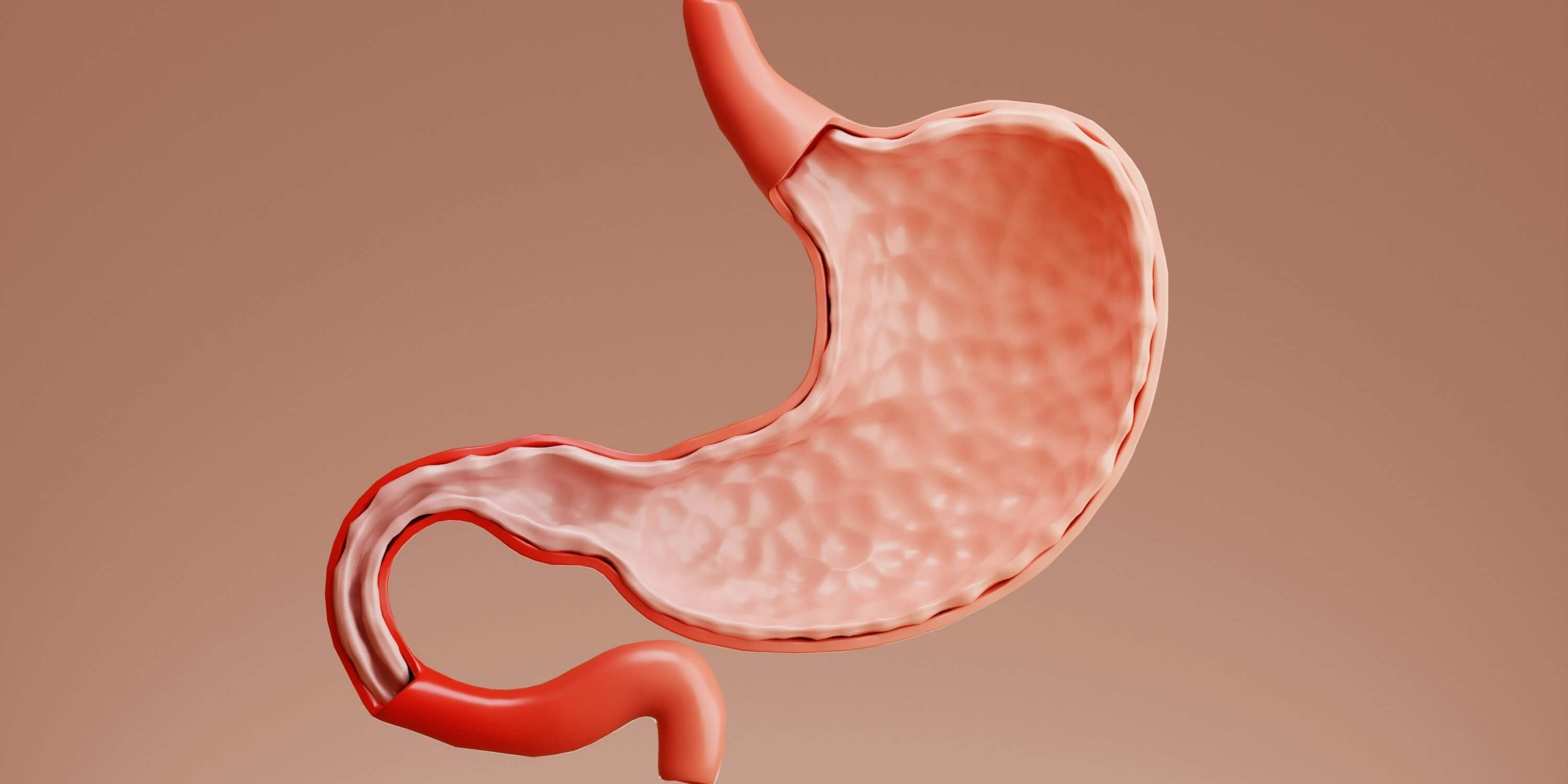 Understanding "Hungry Gut": Causes, Effects, and Solutions