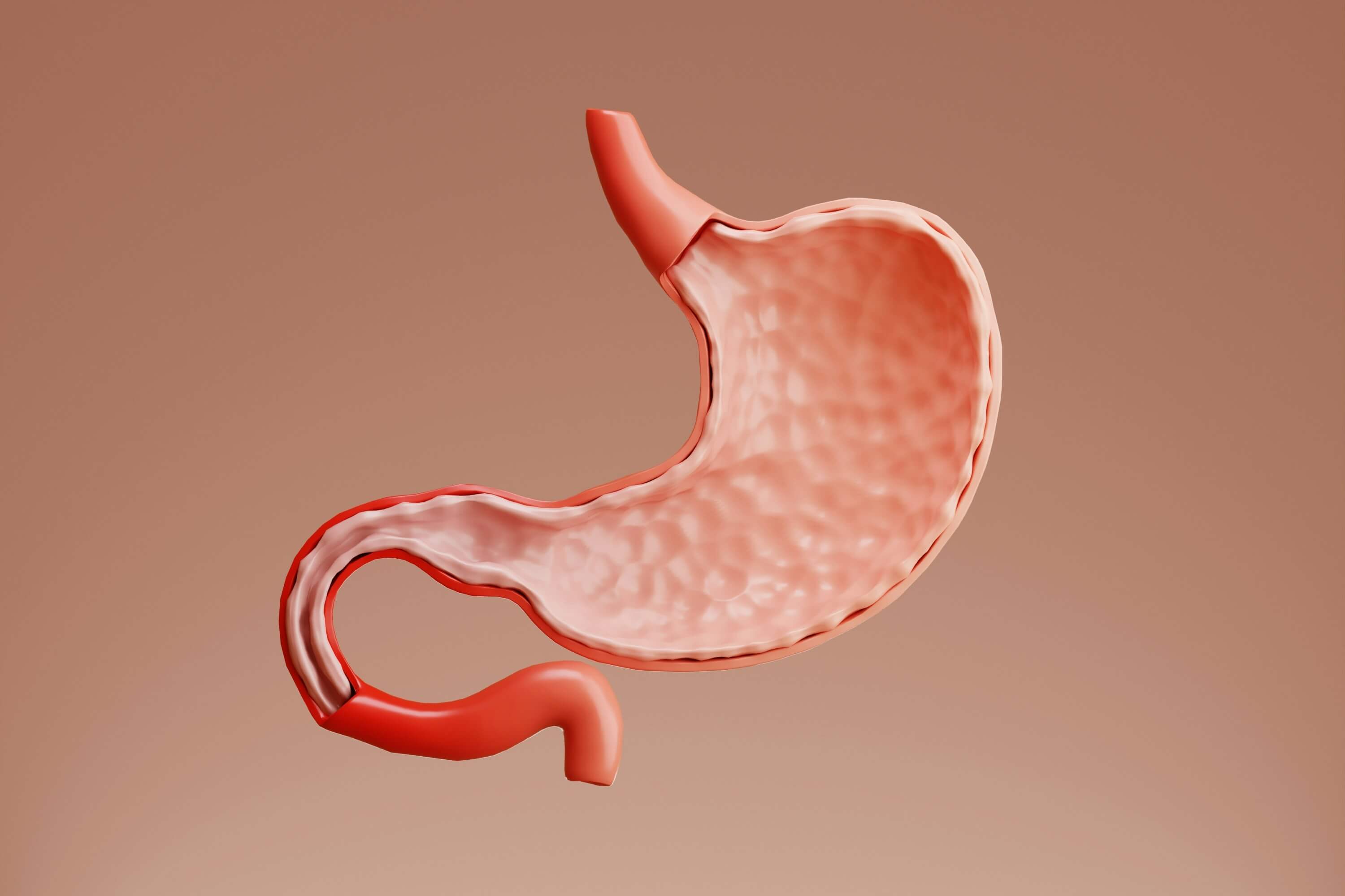 Understanding "Hungry Gut": Causes, Effects, and Solutions